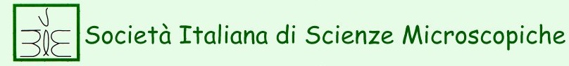 logo_SISM_ok
